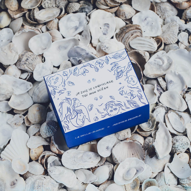 Coffret Coquillage